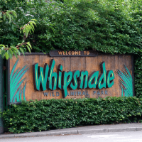 Whipsnade Animal Park